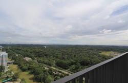Eco Sanctuary (D23), Condominium #139492472